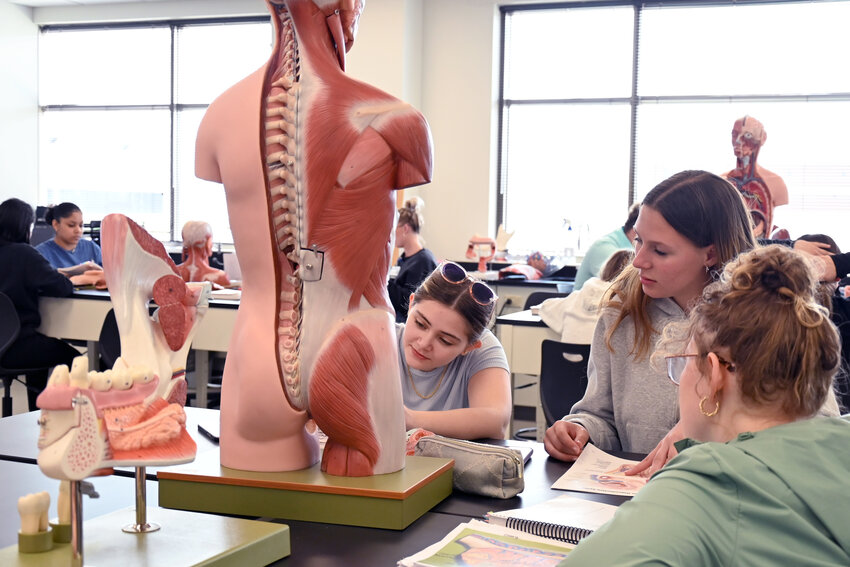 Luxemburg-Casco 2024 graduates (L-R) Kaitlyn Knaus, Olivia Peters and Lily Derenne work in the Anatomy and Physiology lab at Bellin College.