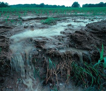 DATCP is reminding farmers and manure applicators to check the runoff risk advisory forecast before spreading manure on fields.
