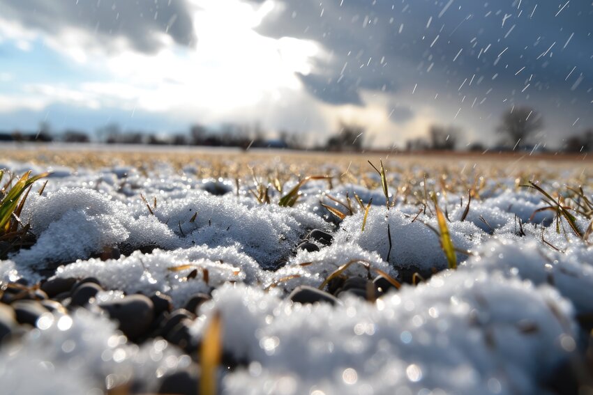 Cold and wet weather again forced some cancellations in the past week. After a nice weekend, the forecast includes more chances at rain next week.