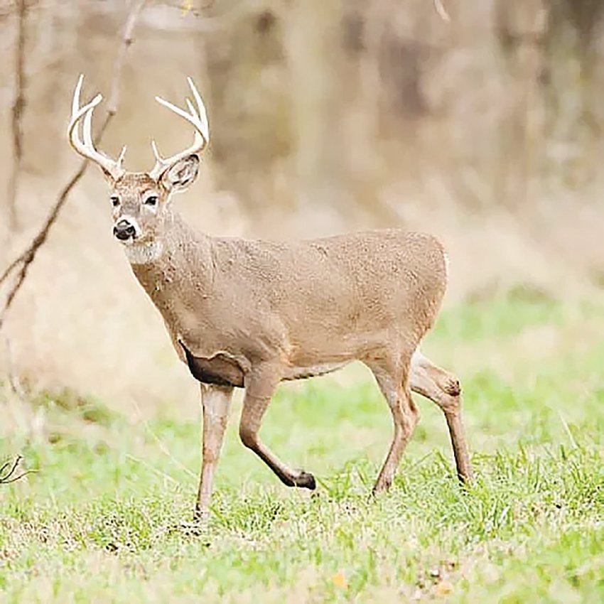 Hunters from across the Show-Me State are jubilant with the start of the deer archery season on Thursday, Sept. 15.