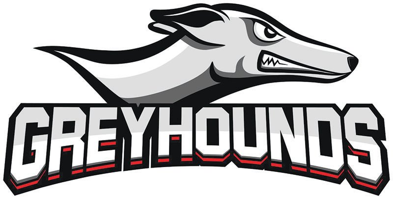 College basketball: ESPN+ will broadcast Greyhounds - Moberly Monitor-Index