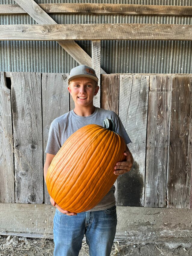 Recent Moberly High School graduate Hunter Boots grew pumpkins as part of his supervised agricultural experience, or SAE, en route to earning his FFA State Degree. (Photo submitted)