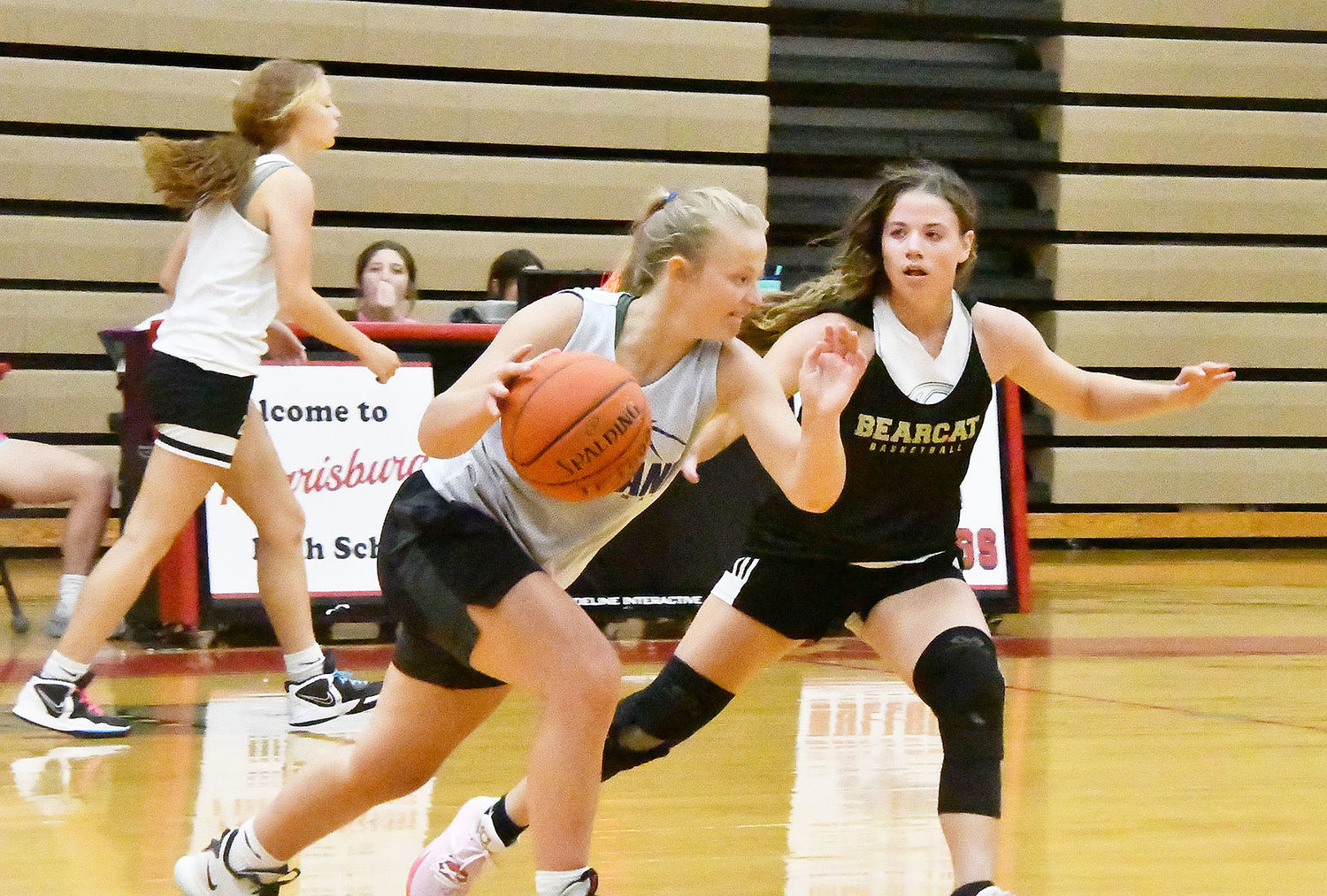 Cairo's Olivia Cross applies escort pressure defense while guarding a player from Hermann.