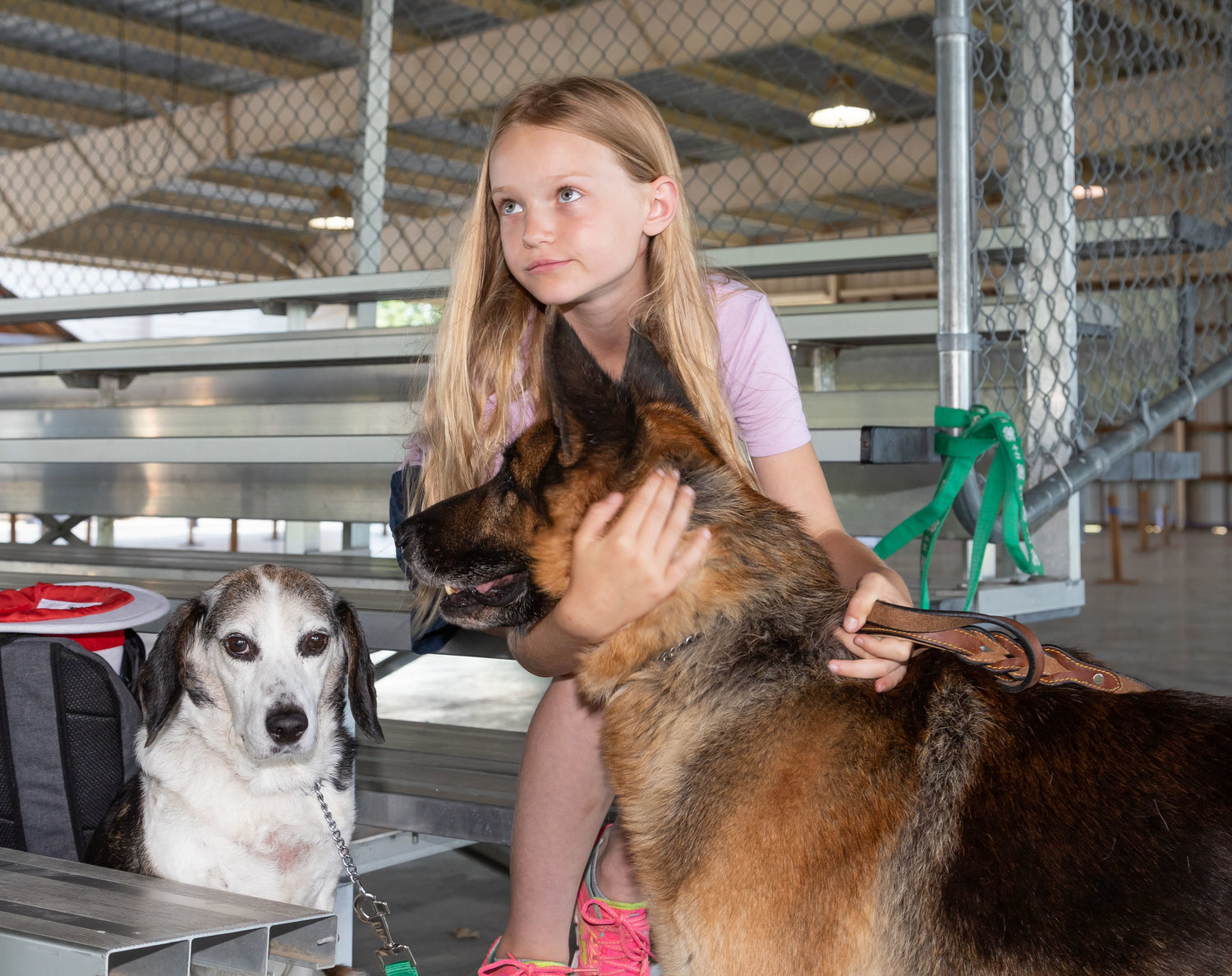 Paisley Weldon, of Atlanta, waits for the Randolph County Fair dog show with her beagle, Charlie, and German Shepherd, Teddy. Weldon was one of eight 4-H exhibitors showing their canines at Riley Pavilion in Moberly’s Rothwell Park Sunday. The fair continues through Saturday.
