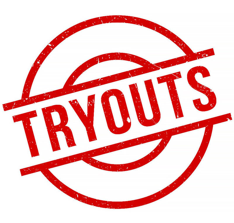 There will be tryouts for an under-14 baseball team on Saturday, Aug. 20.