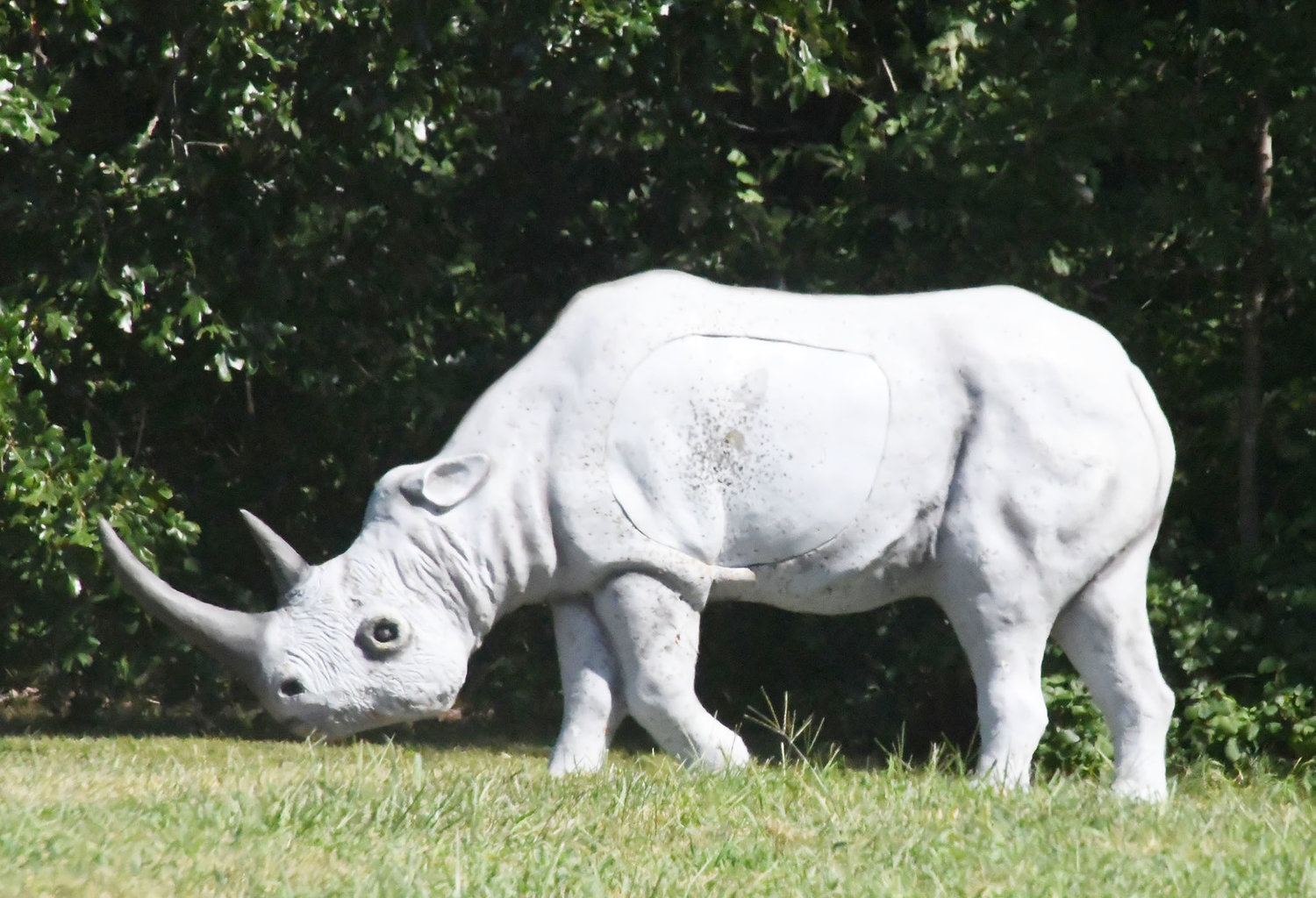 This rhinoceros was a target on the Safari Range inside Rothwell Park.