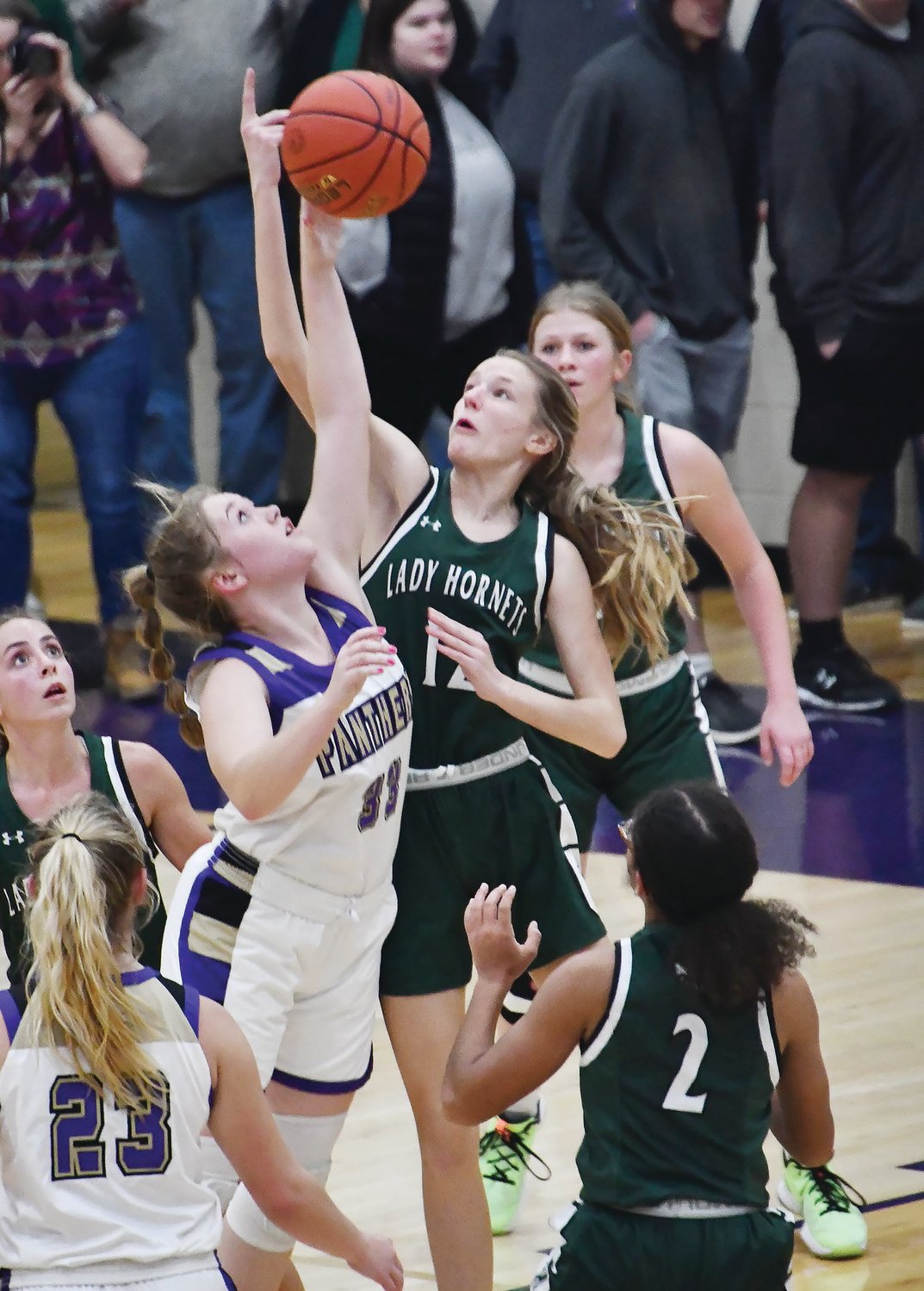 Westran High School girls' basketball player Emma Wortmann (12) vies for control of the ball with Julia Sloan (33) of Salisbury during Friday's Lewis & Clark Conference game. The Panthers topped the Hornets 53-48 at The Dome.