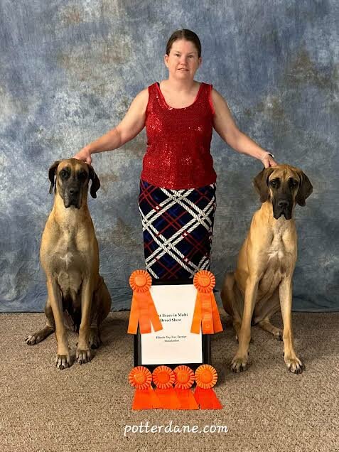 Dog breeder Cindy Cross of Moberly is shown with Cloey (left) and Paisley (right), a couple of Great Danes who have won plenty of dog shows throughout the Midwest. Great Danes are considered a working dog, according to America’s Pet Registry, Inc. (Submitted photo)