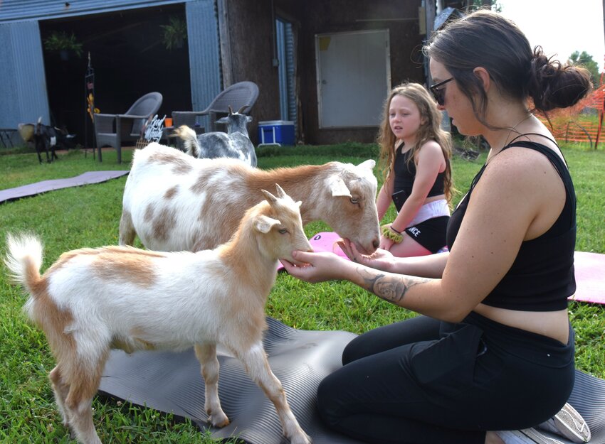 Yoga mixes with goat cuddles for happy hour - The Paper