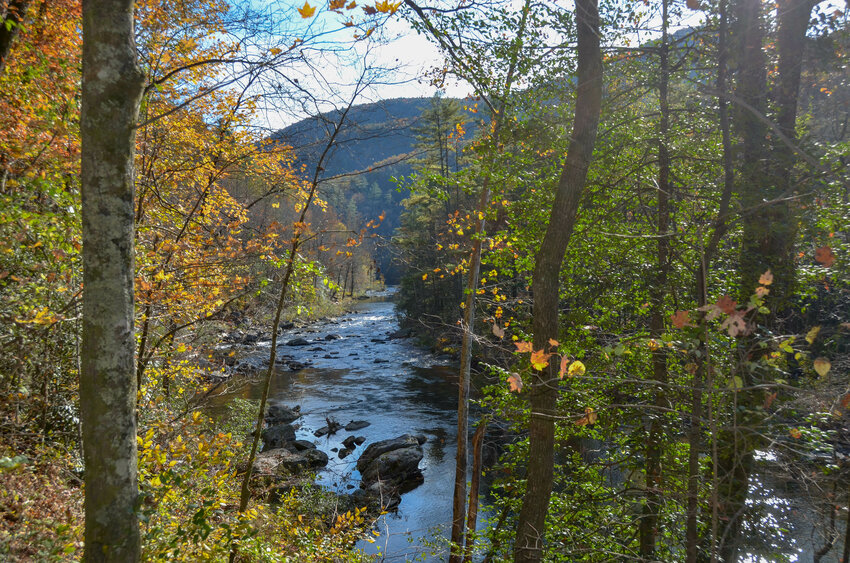 Foothills Conservancy officially transferred 332 acres on Wilson Creek to the U.S. Forest Service on Oct. 11. The land was donated to the conservancy in 2011 by conservationist Tim Sweeney. It is located on a portion of the creek which is protected as a Wild and Scenic River by the Federal Government.