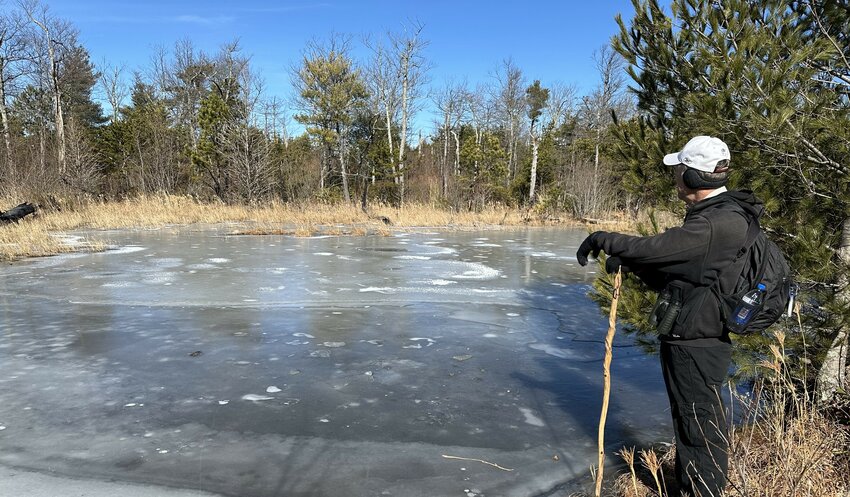 During a drought, such as Burke County experienced last autumn, the pond on top of Shortoff Mountain goes completely dry. This winter,  the pond is full -- although it has been frozen pretty solid a few days.