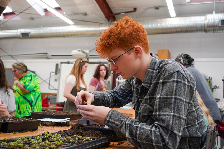 Horticulture student Dylan Carswell carefully transfers a young plant.