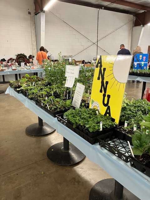 The annual Extension Master Gardener Volunteer Association (EMGVA) Plant Sale kicked off on Saturday, April 27, from 8 a.m. to noon. The sale hosted a variety of plants from succulents, fruits & veggies, and various flowers.