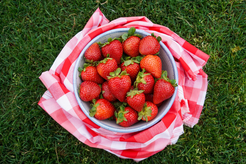 Late spring is strawberry season in Burke County. You can enjoy this versatile fruit in many ways.