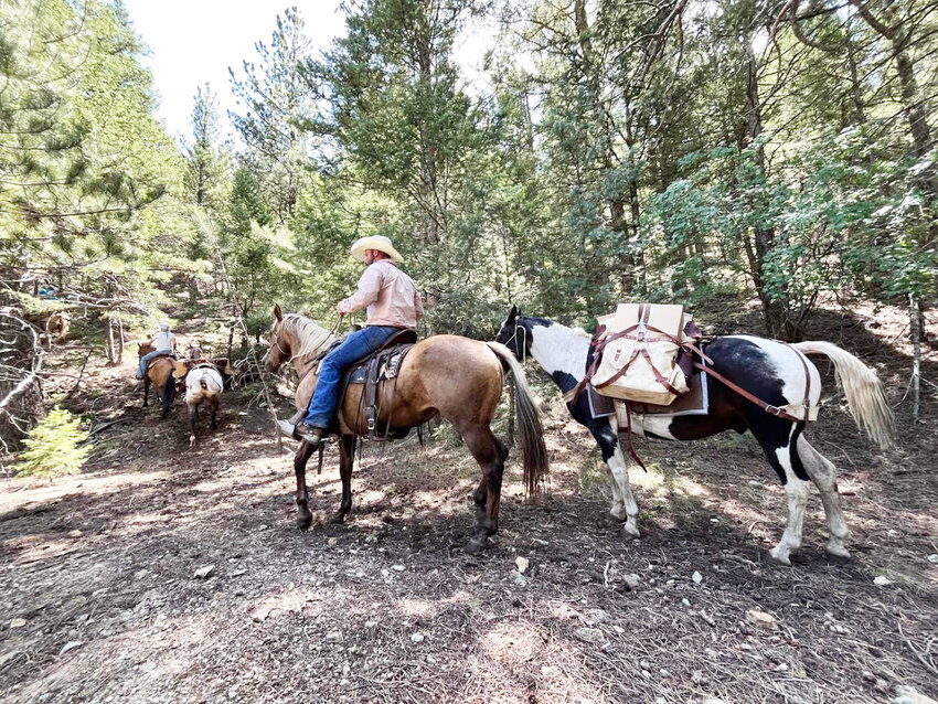 <p>A team of horses and equipment make their way to a mine.</p>