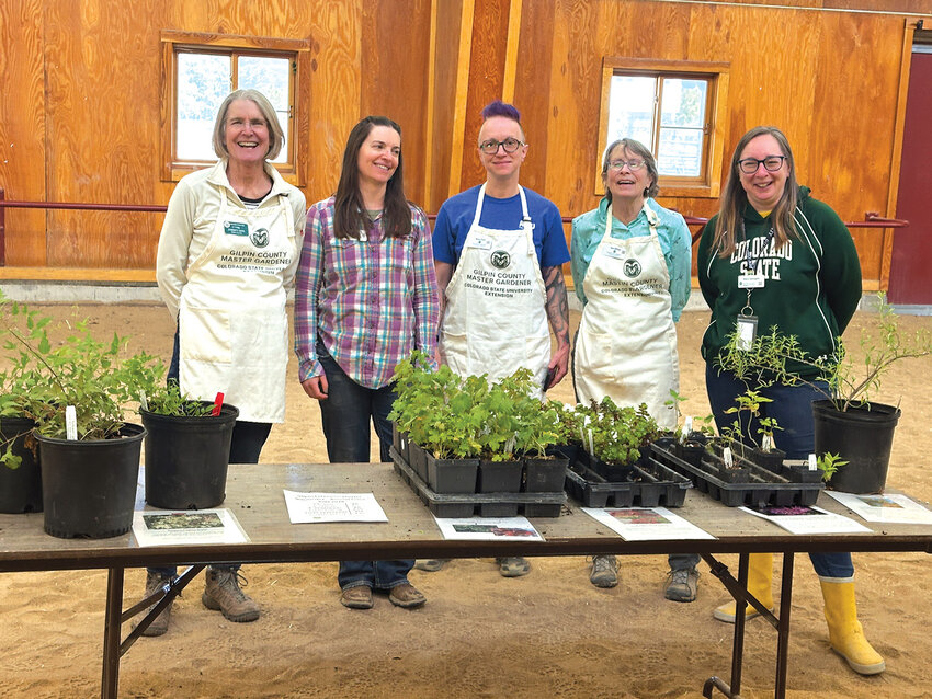 Master gardeners at Plant Sale 2025Master gardeners, from left to right Christy Hoyl, Jennifer Cook, Reaca Pearl, Jane Billings, and Nancy Santagata, in the Gilpin County Barn at the 2025 Gilpin Plant Sale. The annual plant sale is used as a fundraiser for the Master Gardener and Community Garden programs.