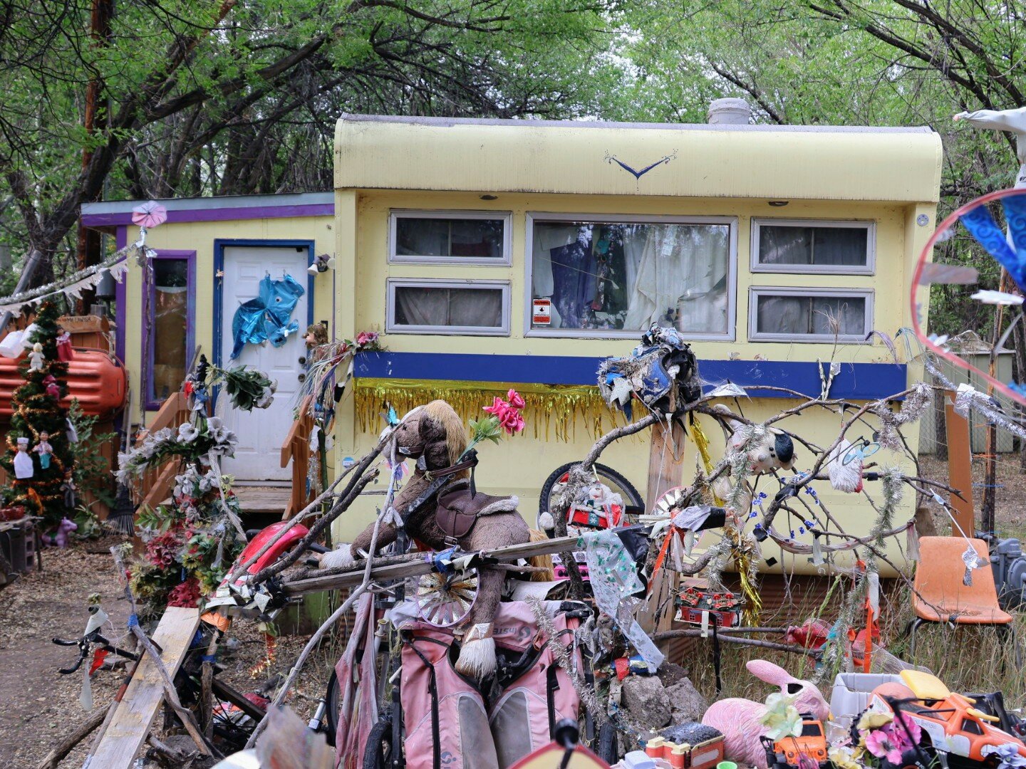 Ramblin' Roy's world lives on in Saguache - The Mountain-Ear