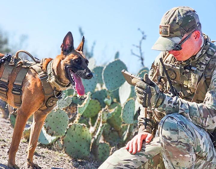 K8 BONA ON THE TRAIL -- The DPS K9 tracking team of Trooper Landon Rabun of Uvalde and his K9 partner Bona tracked down a murder suspect on Thursday, July 11, 2024, across more than two miles of rough terrain in Frio County. The suspect was apprehended without incident.