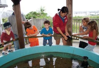 Kids at the aquarium&rsquo;s outside touch-tank
