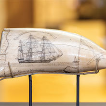 A whale tooth engraved on board the whaling vessel Susan, August 22, 1829. The banner over the ship reads, "The Susan on her homeward bound pas- sage." The panel near the tip is a fouled anchor. The inscription below the anchor continues around the tooth and was engraved by F. Myrick.