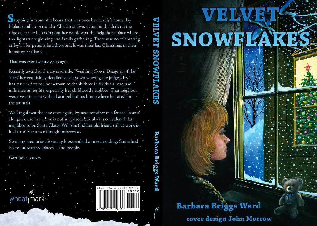 Ogdensburg author and local artist team up for Christmas fiction book ...