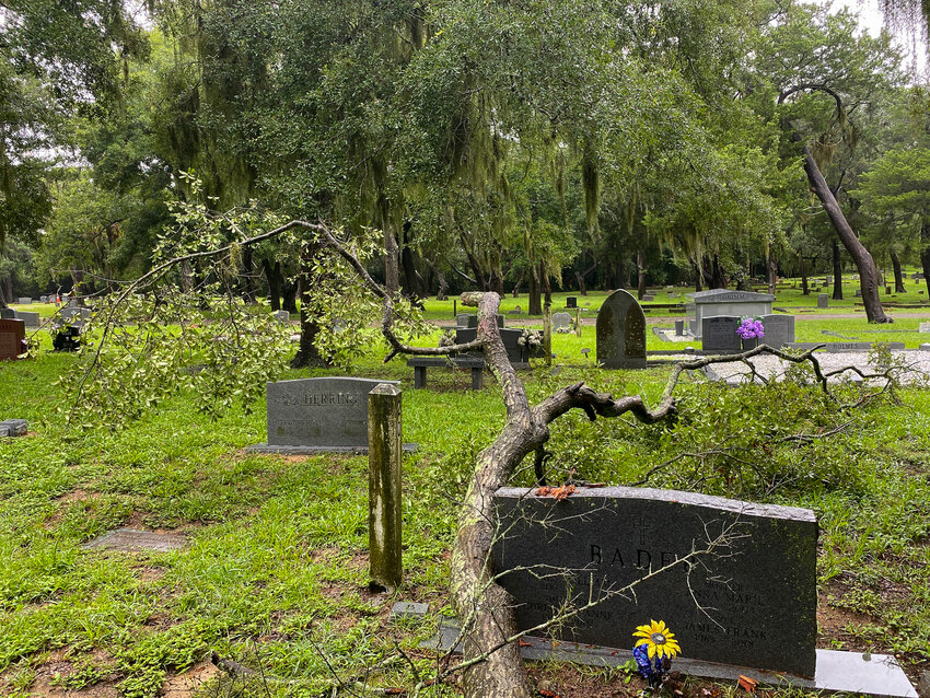 At least one tree toppled at Bosque Bello Cemetery.