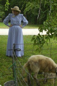 Museum Director Phyllis Davis checks out the featured livestock.