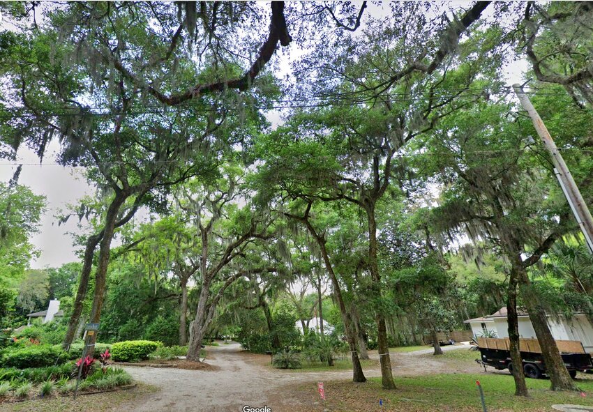 Shadow Woods homeowners sought canopy designation