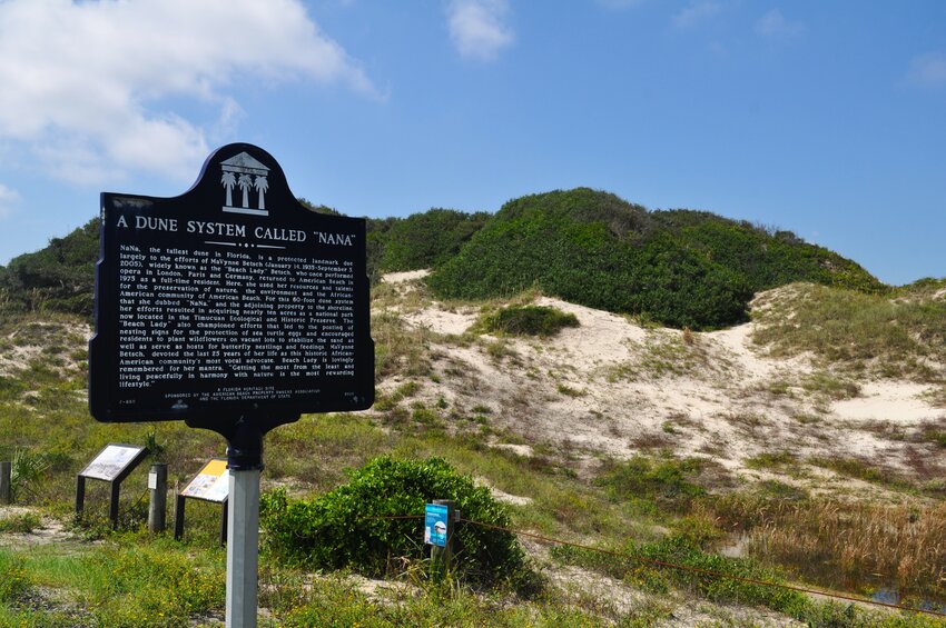 American Beach sand dune NaNa.