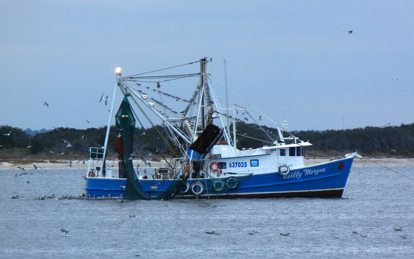 A shrimp boat attracts birds as it cleans its nets off Amelia Island.