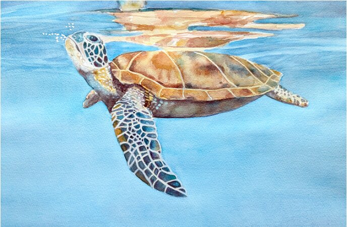 Painting by Susan Hitchcock