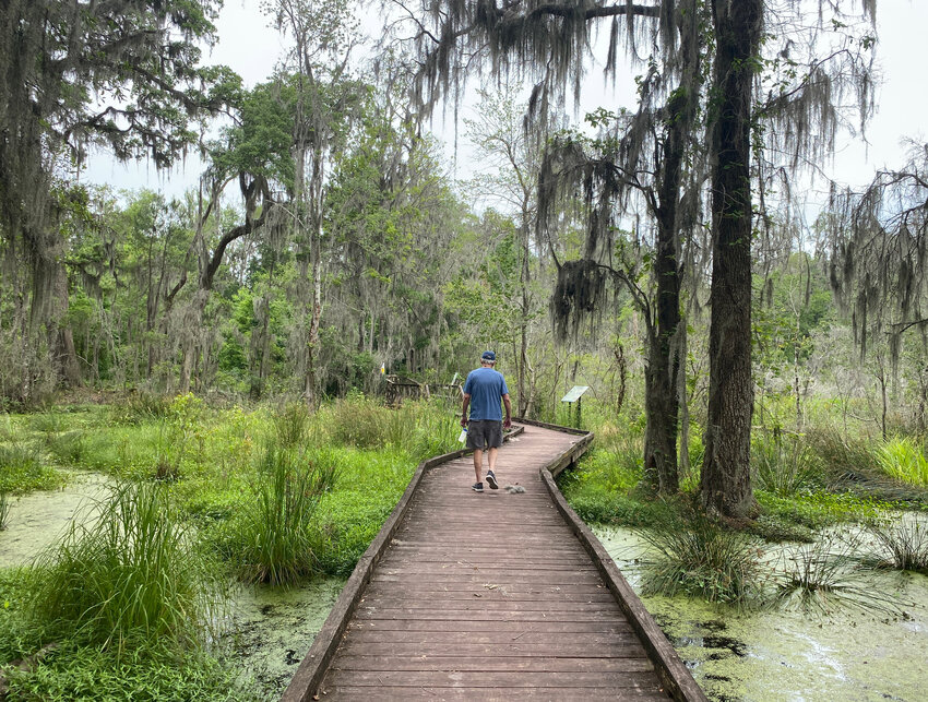 The boardwalk at the Cay Creek Wetlands Interpretive Center enables close-up views of a freshwater tidal swamp.