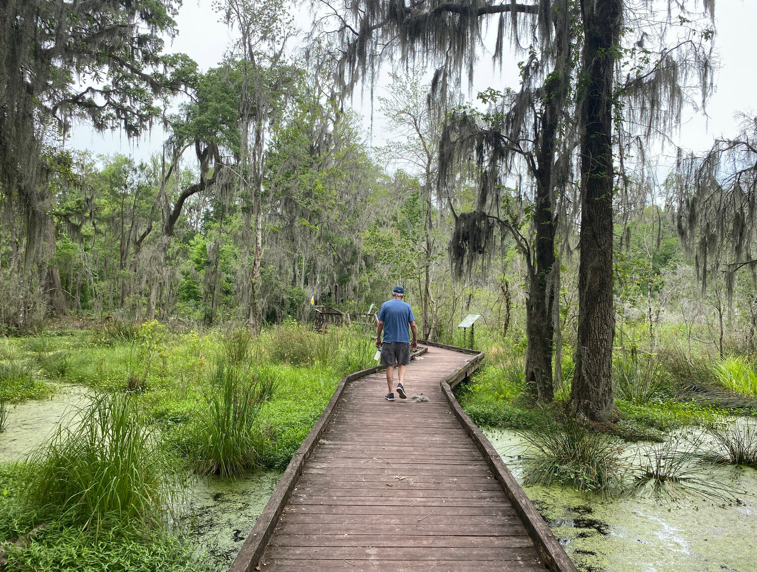 The boardwalk at the Cay Creek Wetlands Interpretive Center enables close-up views of a freshwater tidal swamp.