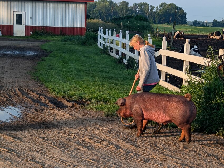 Alaina and Rosco on an early morning training session.