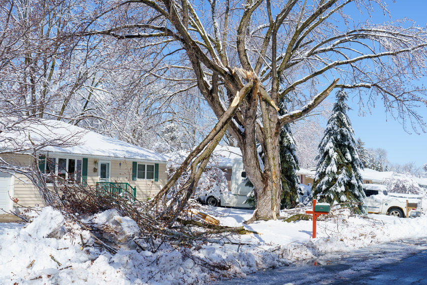 The heavy, wet snow brought havoc all over town with downed tree branches, power lines, and internet service.