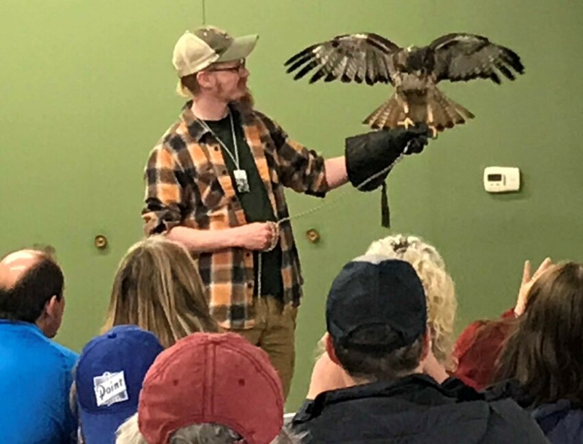 A staff member holds a hawk in a birding display at Carpenter Nature Center.