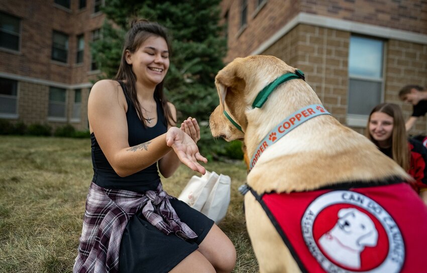 UW-River Falls student Grace Johnson shows Copper, a dog she will help train to be an assistance animal, her open hand after feeding him a treat after Copper and other dogs were dropped off at UWRF Sept. 14. Johnson is one of 21 students who will work with 10 assistance dogs on campus as part of the new Falcon FETCH (Fostering Education Through Campus Hosting) program.