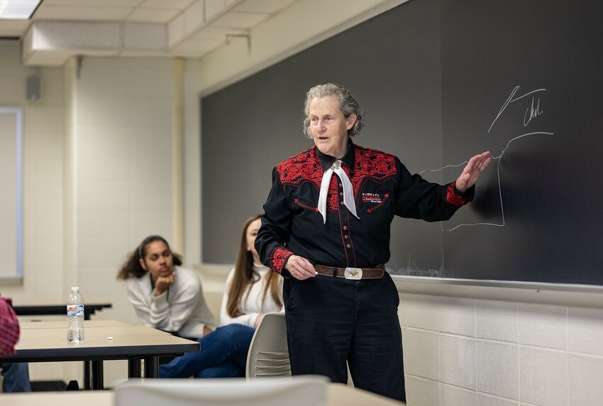Animal behavior expert Temple Grandin describes a more humane animal processing design she invented to a class of UW-River Falls students Wednesday during her visit to UWRF. Students discussed animal welfare, Grandin&rsquo;s career, and other issues with her.