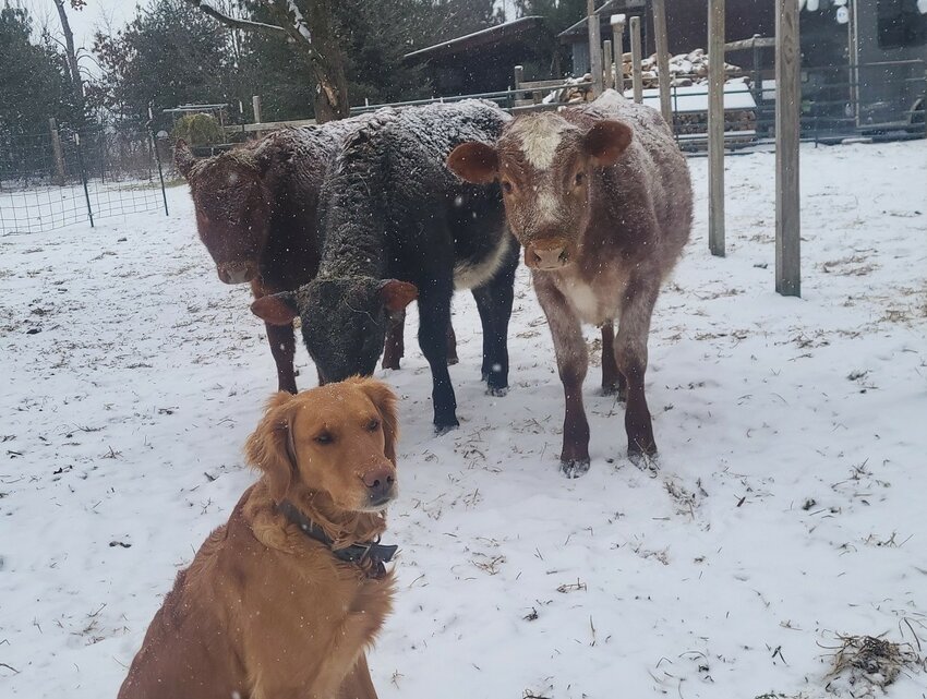 The Three Amigo's and their buddy Red.