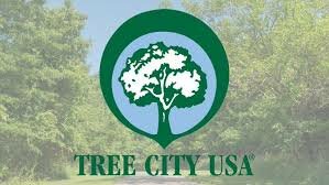 Ellsworth High School students are hoping to earn Ellsworth &quot;Tree City USA&quot; status from the Arbor Day Foundation.