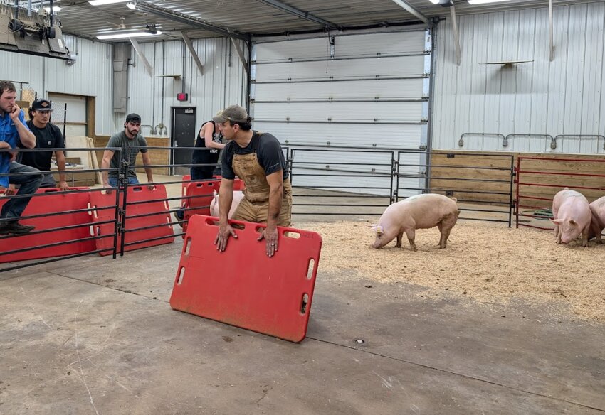 Humane Handling Institute Program Director Kurt Vogel creates hands-on experiences in a supportive environment for those attending HHI training workshops.