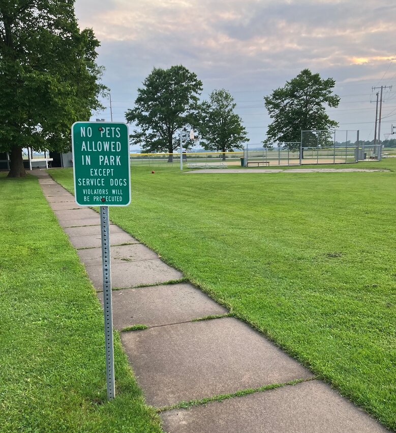The “no dogs” signs could soon come down at Lotz Park, pending an ordinance revision later this summer.