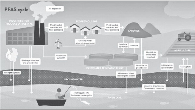 A picture showing the many possible origins and sources for PFAS pollution. The River Acres neighborhood located west of 3M was tied into the city water this past summer after some private wells down at River Acres were deemed to have PFAS levels unsafe for drinking by neighborhood residents.Image from Minnesota Pollution Control Agency website.