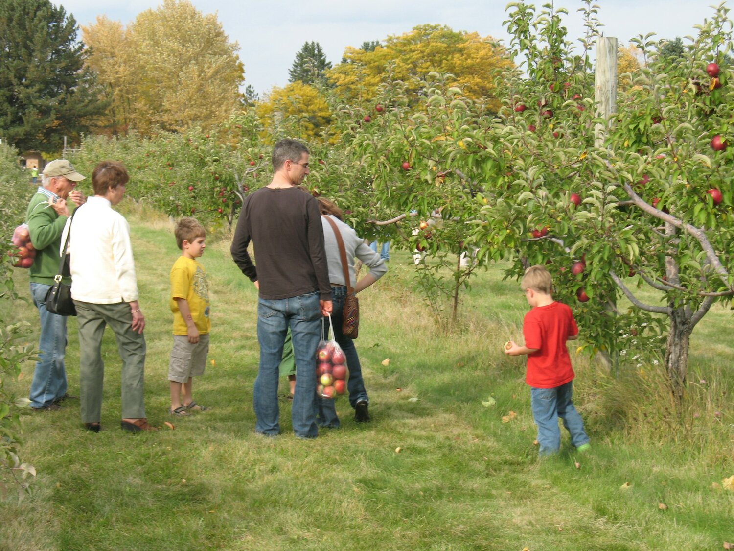 Visitors pick apples on the grounds of Carpenter Nature Center in Hastings.