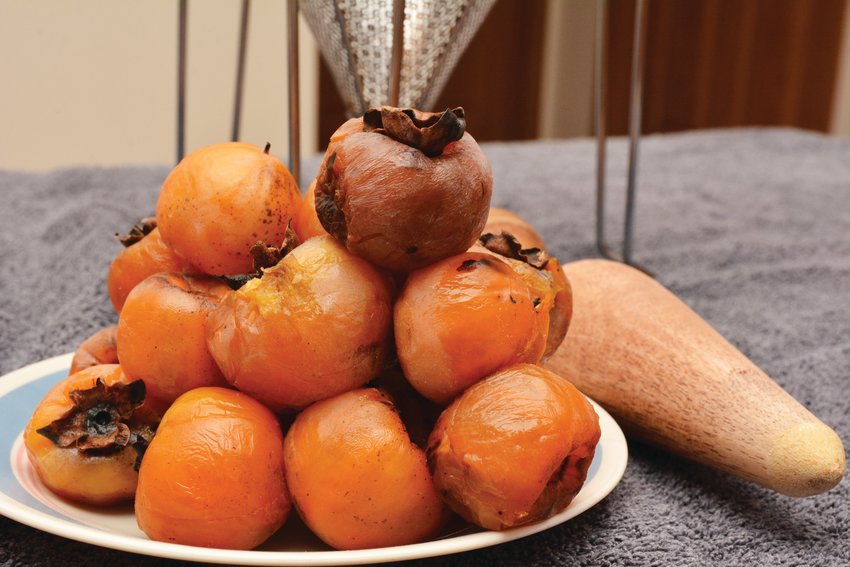 Some may find the look of fully ripe persimmons off-putting as the soft fruits can look rotten. Others see past the appearance and are willing take on the labor of using a pestle to push the fruits through a fine sieve to obtain the desired pulp.
