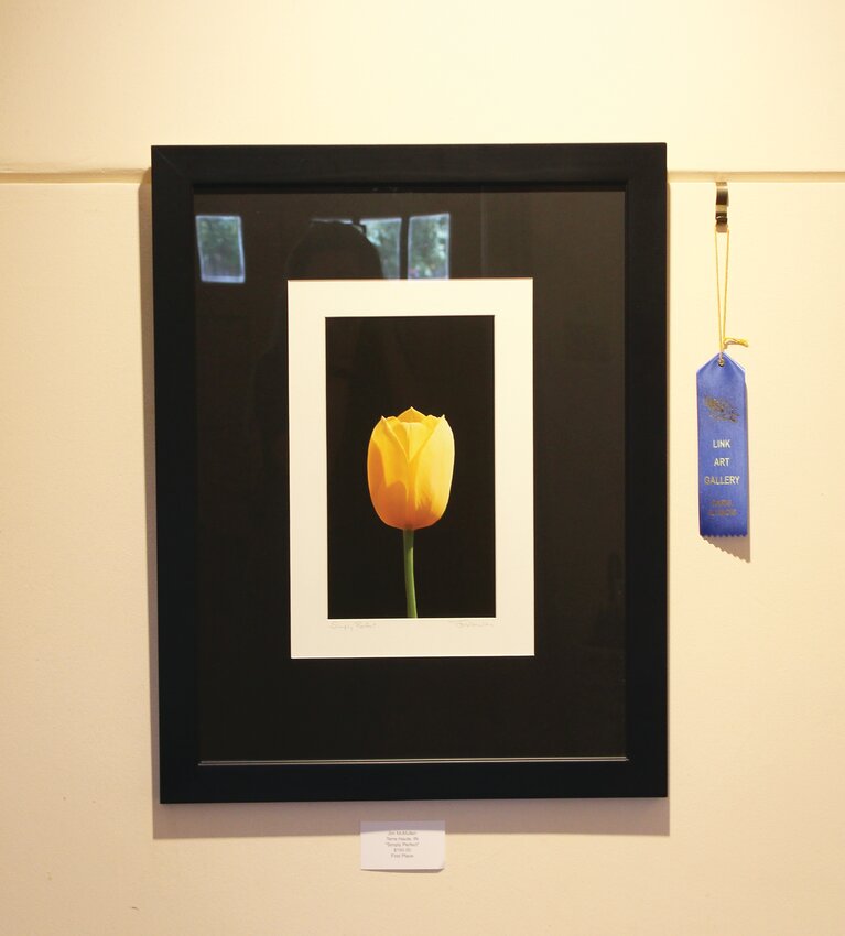 A photograph of a single tulip taken by Jim McMullen of Terre Haute, Ind., won a first-place ribbon and a cash prize of $100 at the Link Art Gallery&rsquo;s annual Midwest Photography Show.