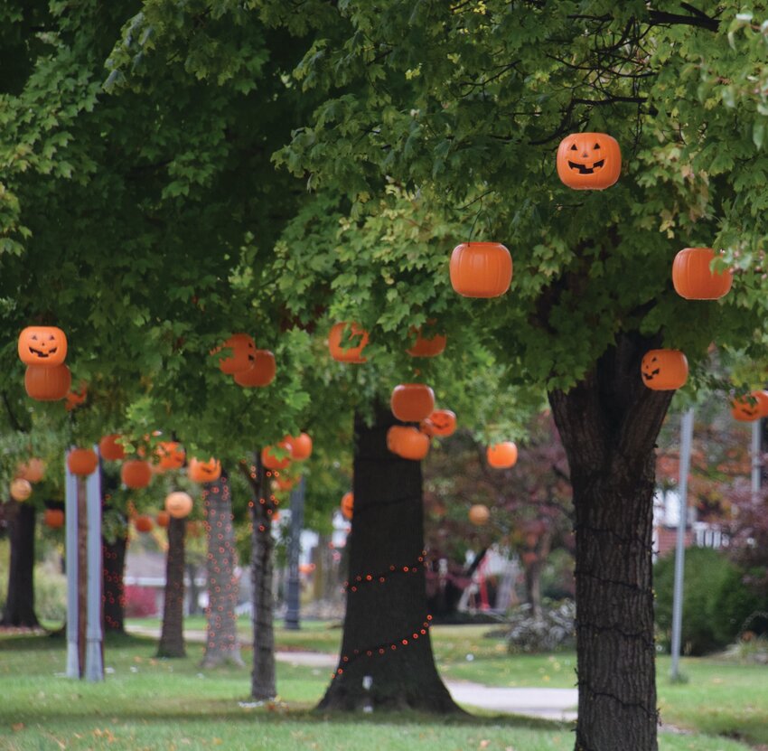 North Eighth Street in Marshall has been transformed by its residents with pumpkin-filled trees and string lights. The fun fall display began with a few neighbors and has spread down the road bringing joy to residents young and old.