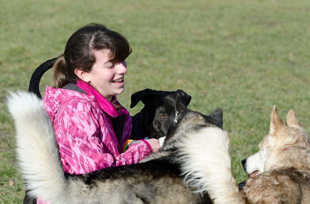 Olivia MacDonald, 12, hands out treats to a group of dogs at the new Portsmouth Dog Park on Monday morning.