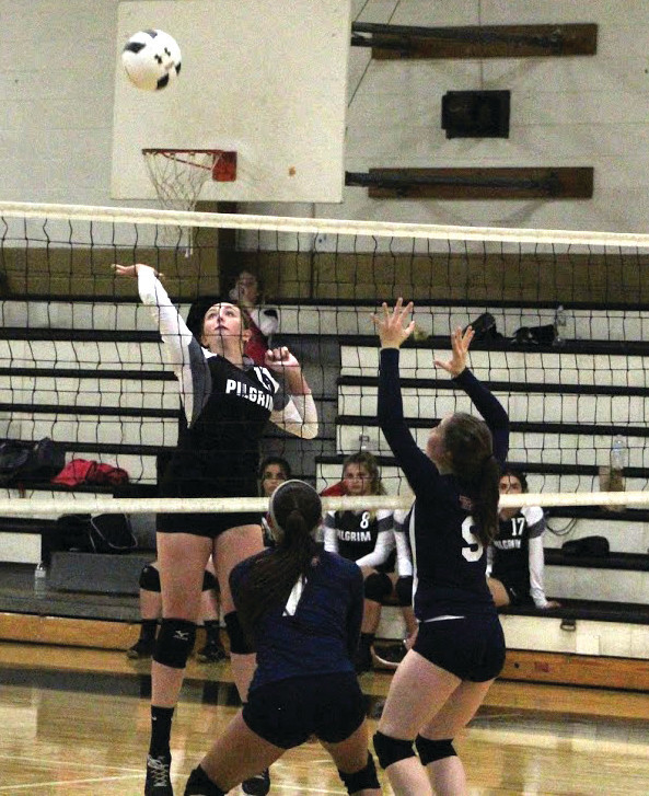 RISING UP: Pilgrim's Ashley Ferreira elevates and tries to send a shot past Toll Gate's front line on Friday.