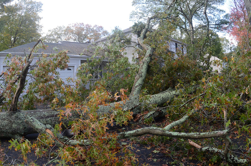 Homes in Hampden Meadows were still without power on Thursday morning.